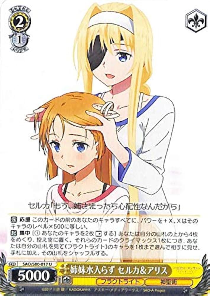 ヴァイスシュヴァルツ ソードアート・オンライン アリシゼーション カートン未開封 Amazon.co.jp: ヴァイスシュヴァルツ ソードアート・オンライン